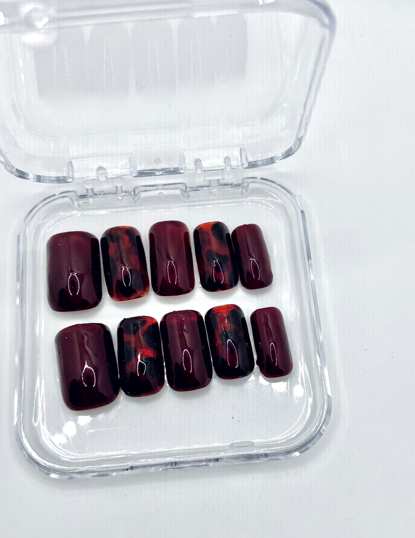 Maroon and Tortoise Large Set